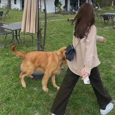 十四女英豪